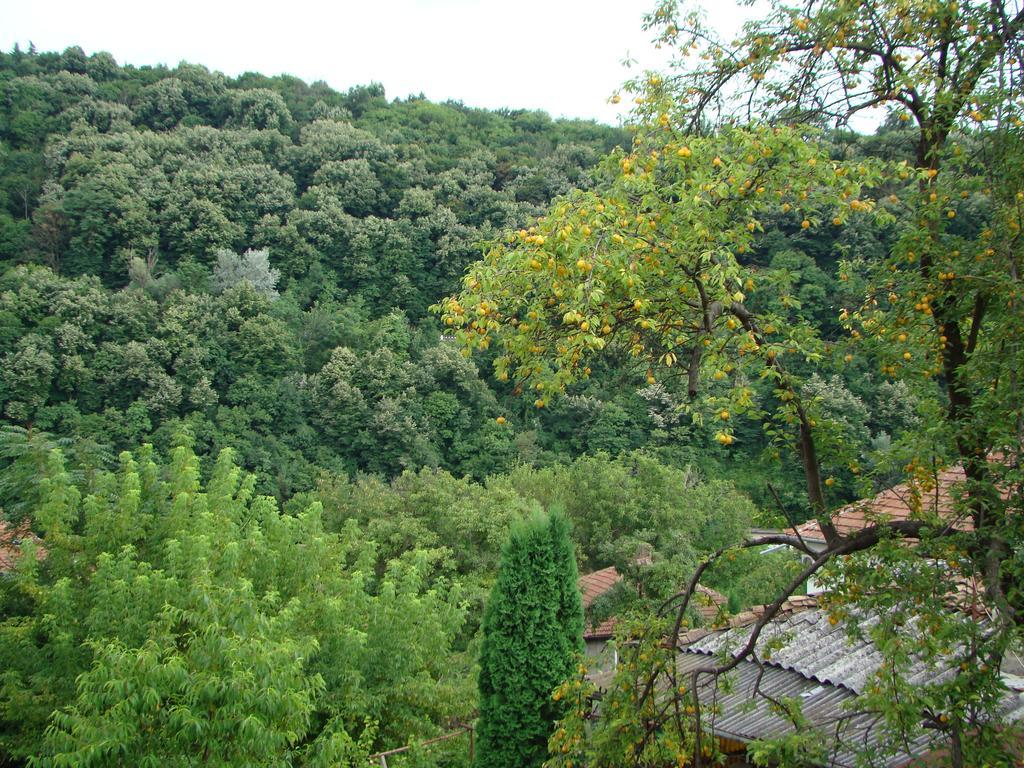 Guest House Selin Veliko Tărnovo Exterior foto